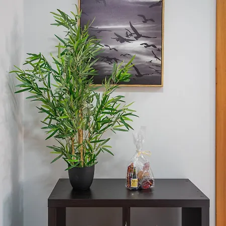 Apartment Simon's By Galmi *